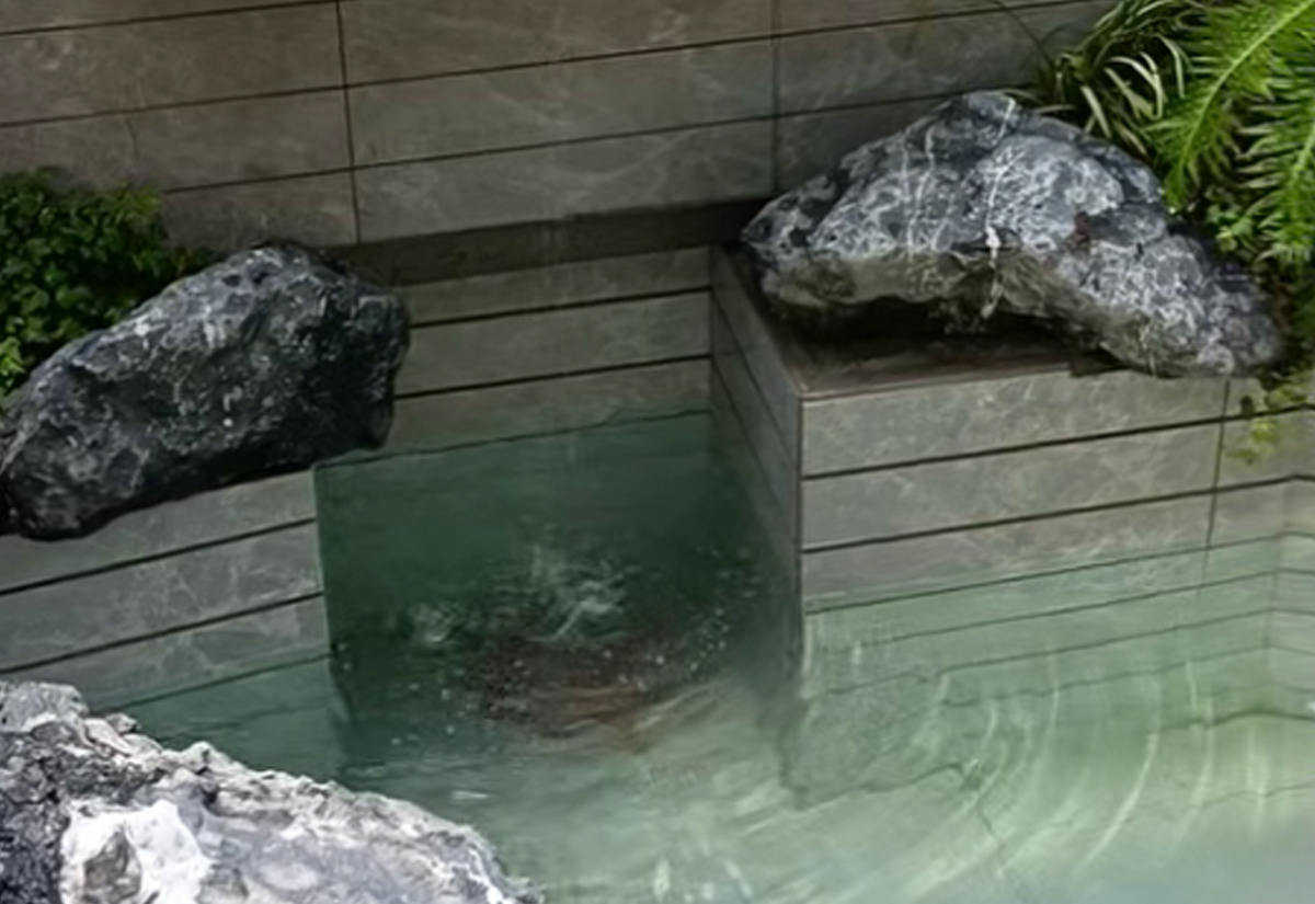 鱼池景观