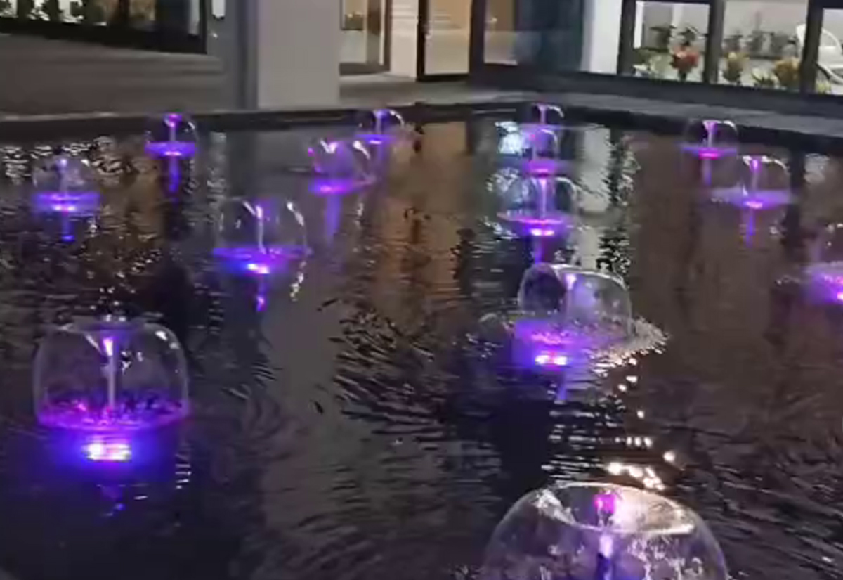 鱼池景观